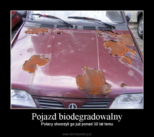 Pojazd biodegradowalny – Polacy stworzyli go już ponad 30 lat temu 