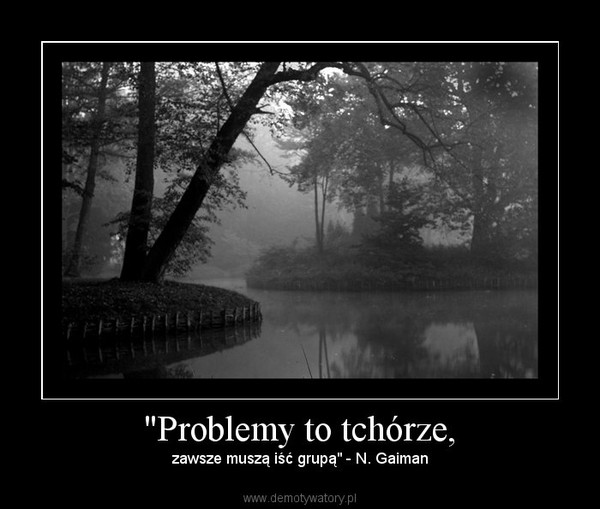 "Problemy to tchórze, – zawsze muszą iść grupą" - N. Gaiman 