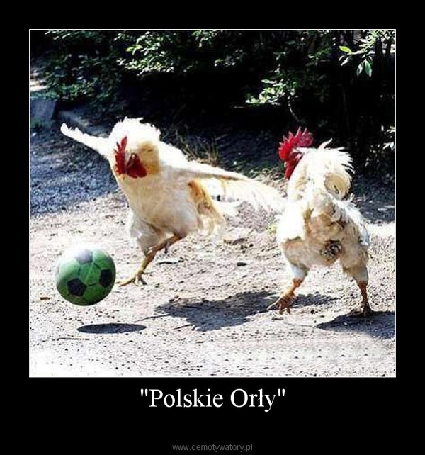 "Polskie Orły" –  