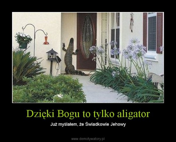 Dzięki Bogu to tylko aligator – Już myślałem, że Świadkowie Jehowy 