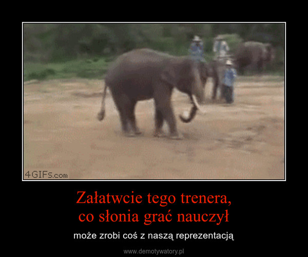 Załatwcie tego trenera,co słonia grać nauczył – może zrobi coś z naszą reprezentacją 