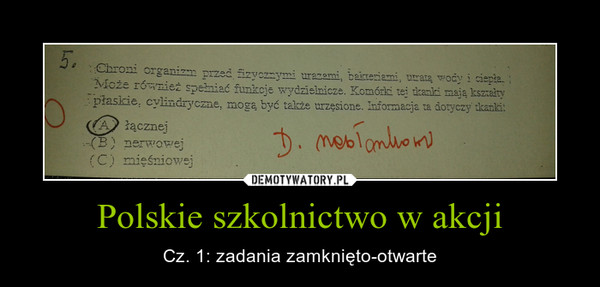 Polskie szkolnictwo w akcji – Cz. 1: zadania zamknięto-otwarte 