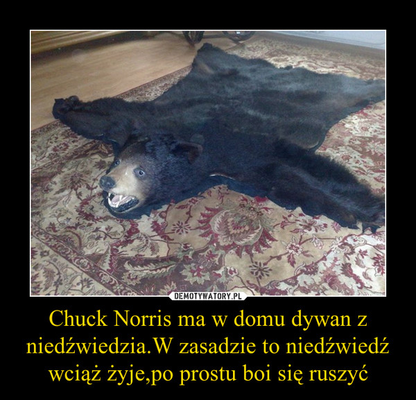 Chuck Norris ma w domu dywan z niedźwiedzia.W zasadzie to niedźwiedź wciąż żyje,po prostu boi się ruszyć –  