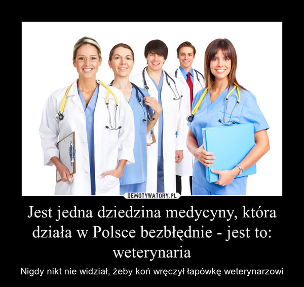 Jest jedna dziedzina medycyny, która działa w Polsce bezbłędnie - jest to: weterynaria – Nigdy nikt nie widział, żeby koń wręczył łapówkę weterynarzowi 