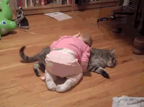 Ta dwójka po prostu zasnęła  w ten sposób – Kot też może być najlepszym przyjacielem dziecka 