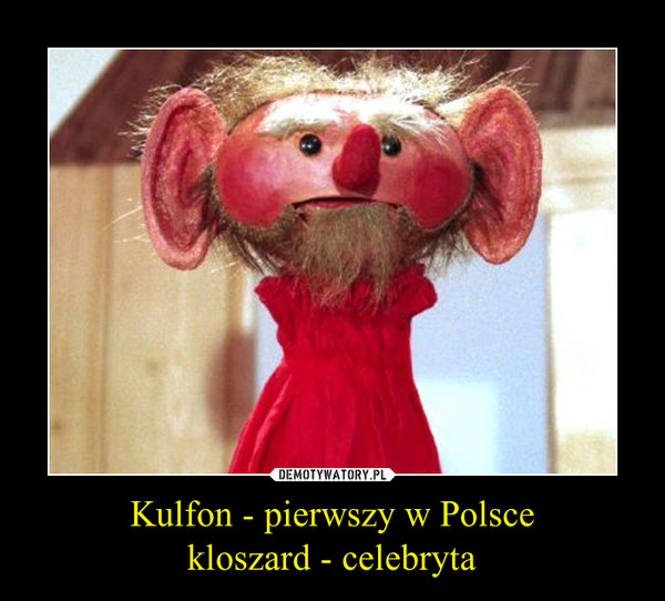 Kulfon - pierwszy w Polscekloszard - celebryta –  
