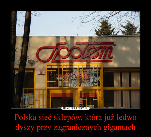 Polska sieć sklepów, która już ledwo dyszy przy zagranicznych gigantach –  