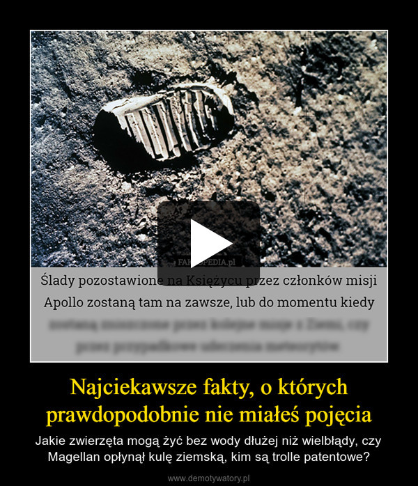 Najciekawsze fakty, o których
prawdopodobnie nie miałeś pojęcia