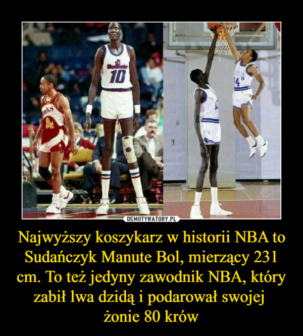 Najwyższy koszykarz w historii NBA to Sudańczyk Manute Bol, mierzący 231 cm. To też jedyny zawodnik NBA, który zabił lwa dzidą i podarował swojej żonie 80 krów –  