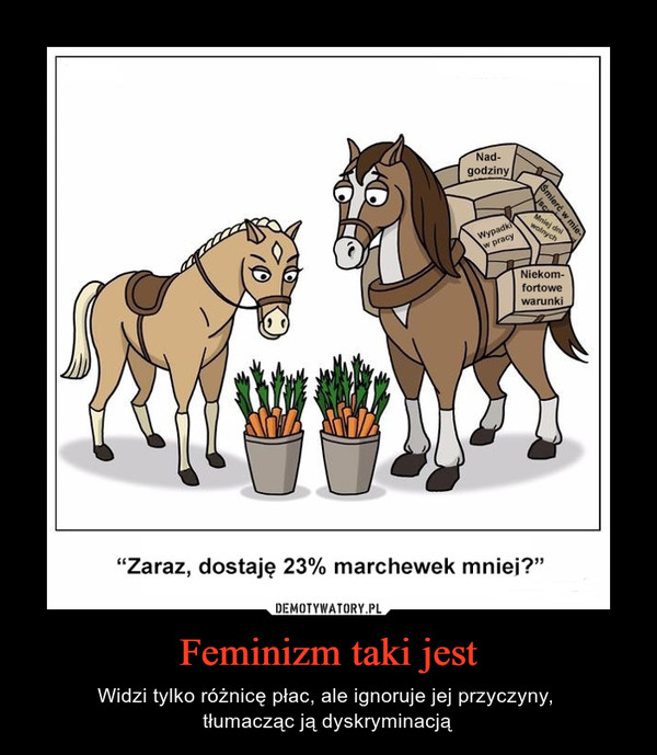 Feminizm taki jest – Widzi tylko różnicę płac, ale ignoruje jej przyczyny, tłumacząc ją dyskryminacją "Zaraz, dostaje 23% marchewki mniej?" 