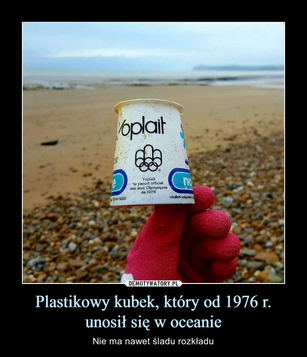 Plastikowy kubek, który od 1976 r. unosił się w oceanie – Nie ma nawet śladu rozkładu 
