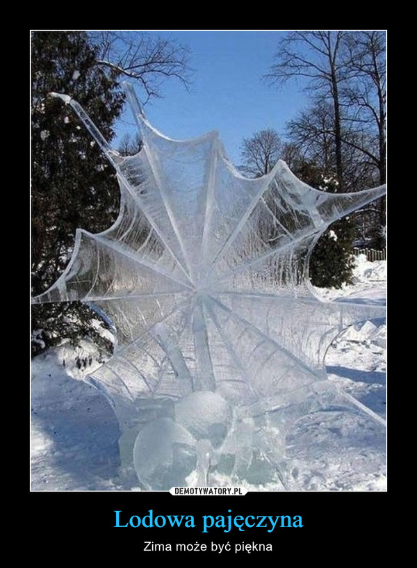 Lodowa pajęczyna – Zima może być piękna 