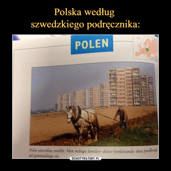 Polska według 
szwedzkiego podręcznika: