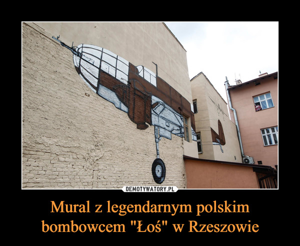 Mural z legendarnym polskim bombowcem "Łoś" w Rzeszowie –  