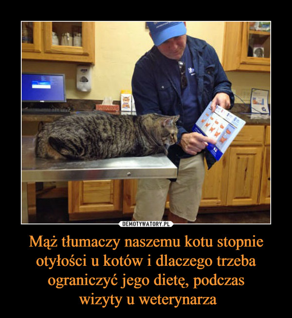 Mąż tłumaczy naszemu kotu stopnie otyłości u kotów i dlaczego trzeba ograniczyć jego dietę, podczas wizyty u weterynarza –  