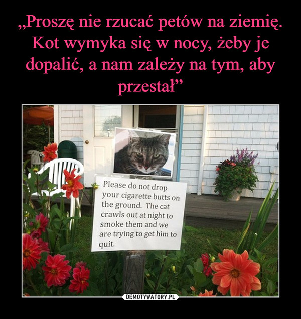 „Proszę nie rzucać petów na ziemię. Kot wymyka się w nocy, żeby je dopalić, a nam zależy na tym, aby przestał”