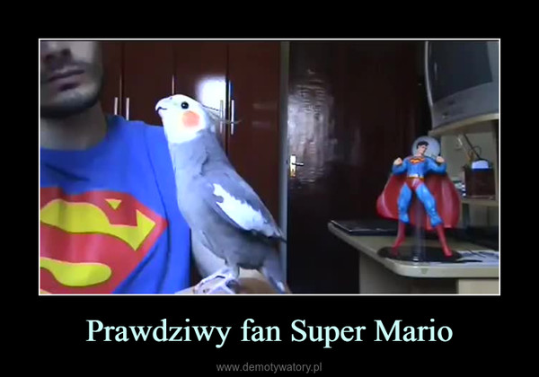 Prawdziwy fan Super Mario –  