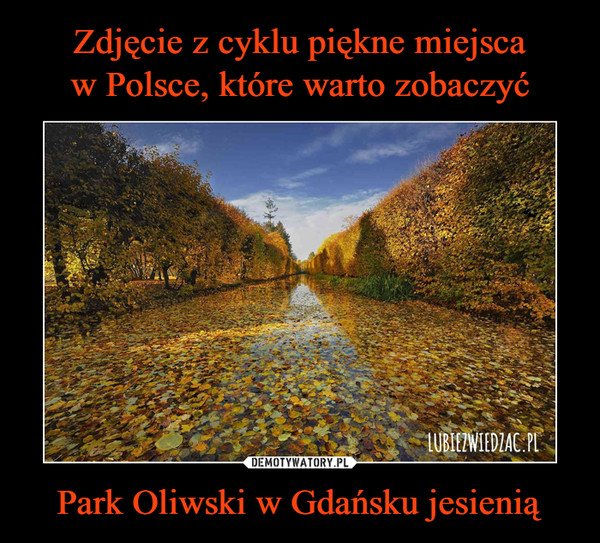 Park Oliwski w Gdańsku jesienią –  