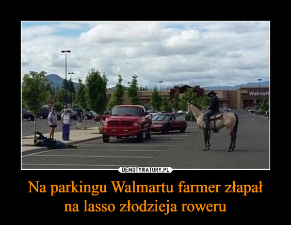 Na parkingu Walmartu farmer złapał
na lasso złodzieja roweru