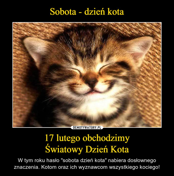 Sobota - dzień kota 17 lutego obchodzimy
Światowy Dzień Kota