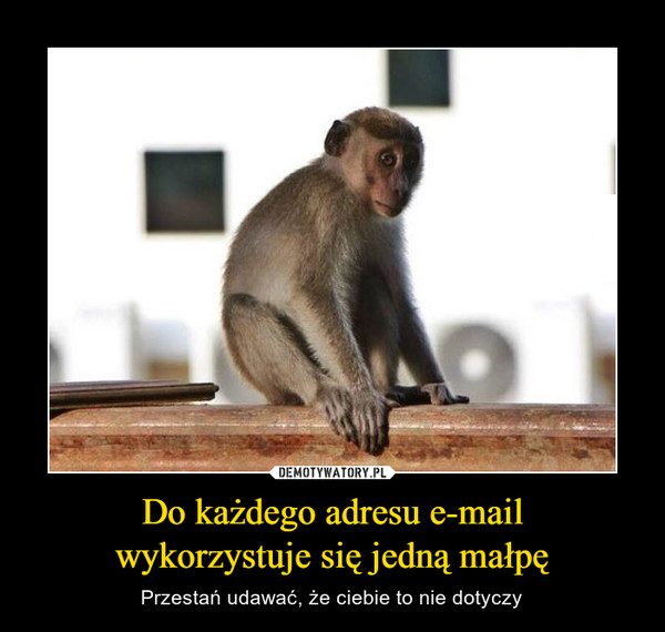 Do każdego adresu e-mailwykorzystuje się jedną małpę – Przestań udawać, że ciebie to nie dotyczy 