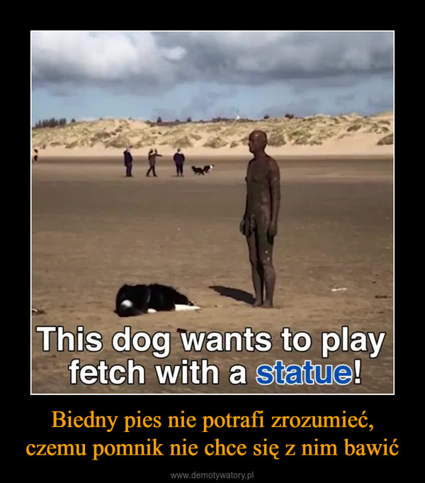 Biedny pies nie potrafi zrozumieć, czemu pomnik nie chce się z nim bawić –  