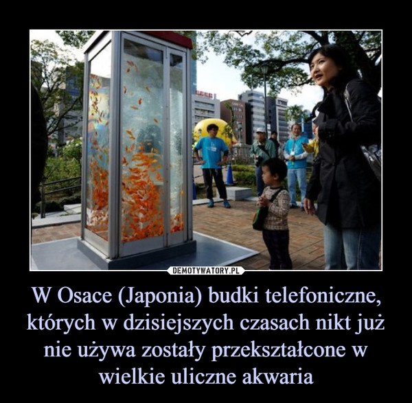 W Osace (Japonia) budki telefoniczne, których w dzisiejszych czasach nikt już nie używa zostały przekształcone w wielkie uliczne akwaria –  