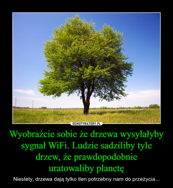 Wyobraźcie sobie że drzewa wysyłałyby sygnał WiFi. Ludzie sadziliby tyle drzew, że prawdopodobnieuratowaliby planetę – Niestety, drzewa dają tylko tlen potrzebny nam do przeżycia... 