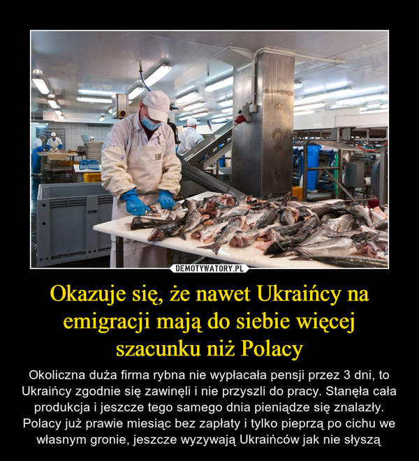 Okazuje się, że nawet Ukraińcy na emigracji mają do siebie więcej szacunku niż Polacy – Okoliczna duża firma rybna nie wypłacała pensji przez 3 dni, to Ukraińcy zgodnie się zawinęli i nie przyszli do pracy. Stanęła cała produkcja i jeszcze tego samego dnia pieniądze się znalazły. Polacy już prawie miesiąc bez zapłaty i tylko pieprzą po cichu we własnym gronie, jeszcze wyzywają Ukraińców jak nie słyszą 