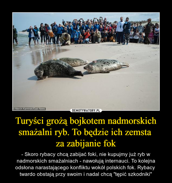 Turyści grożą bojkotem nadmorskich smażalni ryb. To będzie ich zemsta za zabijanie fok – - Skoro rybacy chcą zabijać foki, nie kupujmy już ryb w nadmorskich smażalniach - nawołują internauci. To kolejna odsłona narastającego konfliktu wokół polskich fok. Rybacy twardo obstają przy swoim i nadal chcą "tępić szkodniki" 