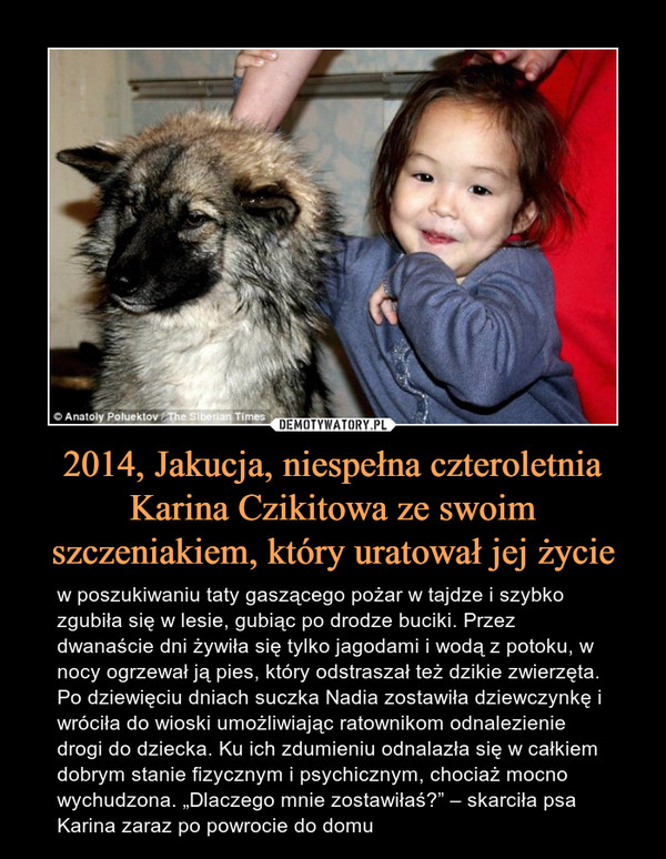 2014, Jakucja, niespełna czteroletnia Karina Czikitowa ze swoim szczeniakiem, który uratował jej życie