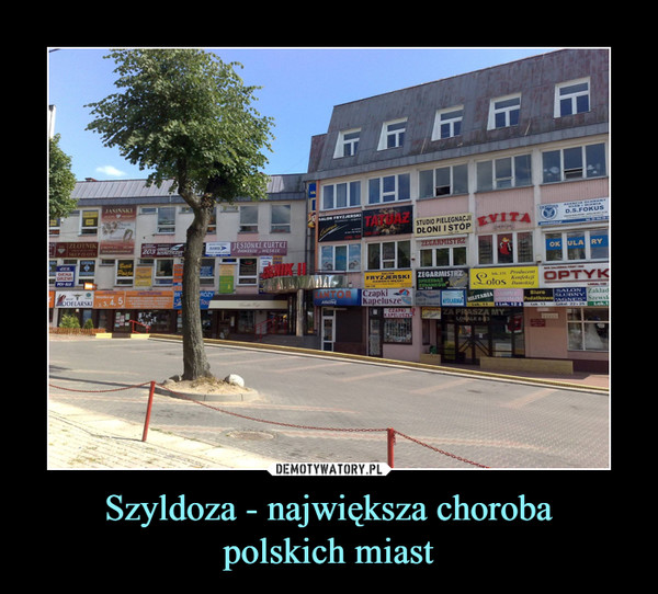 Szyldoza - największa chorobapolskich miast –  