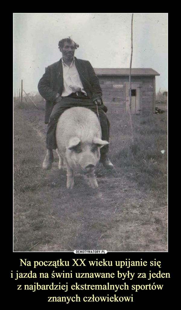 Na początku XX wieku upijanie się
i jazda na świni uznawane były za jeden z najbardziej ekstremalnych sportów znanych człowiekowi