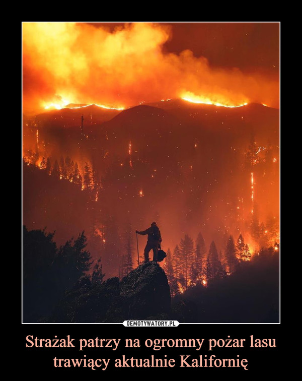 Strażak patrzy na ogromny pożar lasu trawiący aktualnie Kalifornię –  