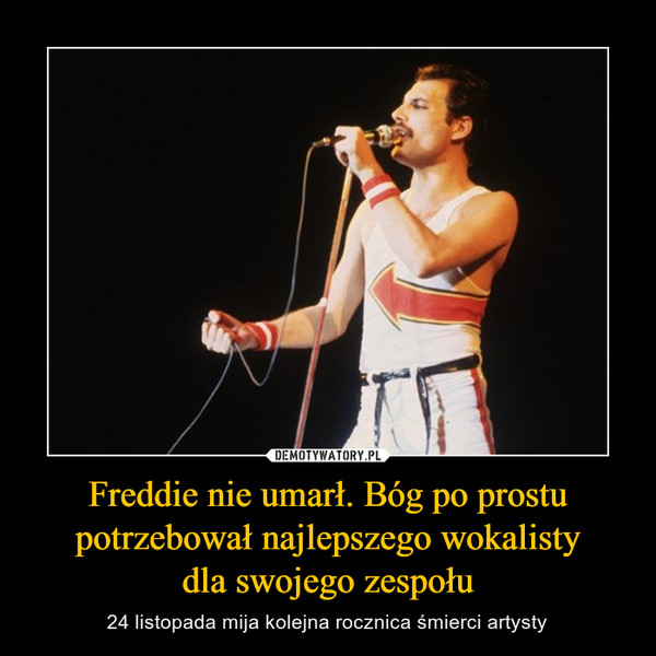 Freddie nie umarł. Bóg po prostu potrzebował najlepszego wokalistydla swojego zespołu – 24 listopada mija kolejna rocznica śmierci artysty 