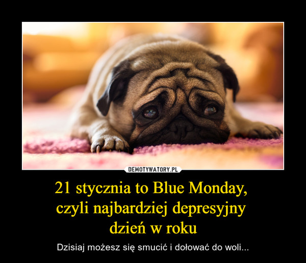 21 stycznia to Blue Monday, czyli najbardziej depresyjny dzień w roku – Dzisiaj możesz się smucić i dołować do woli... 