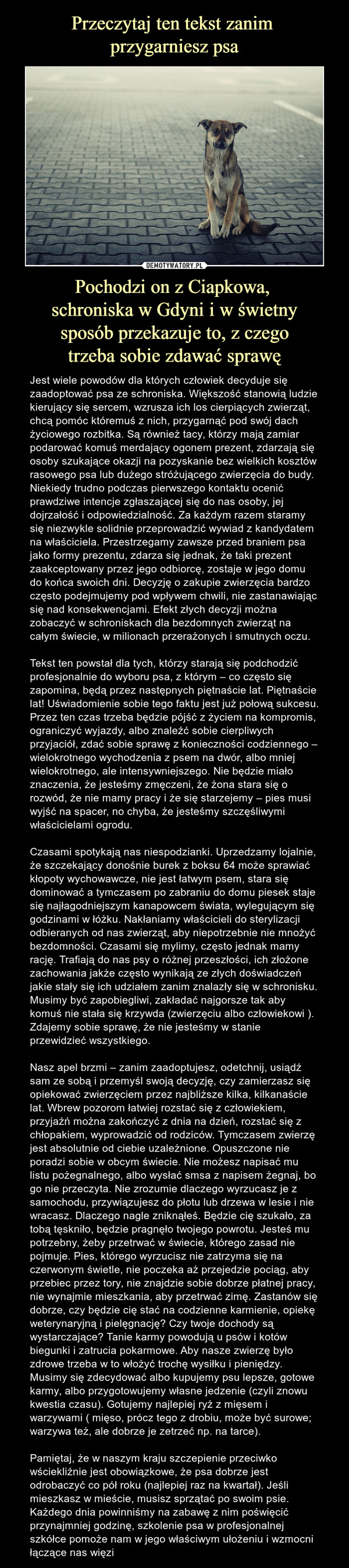 Przeczytaj ten tekst zanim 
przygarniesz psa Pochodzi on z Ciapkowa, 
schroniska w Gdyni i w świetny
sposób przekazuje to, z czego
trzeba sobie zdawać sprawę