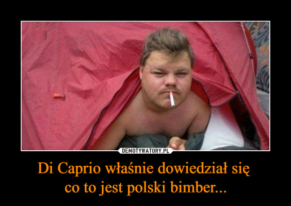 Di Caprio właśnie dowiedział się co to jest polski bimber... –  