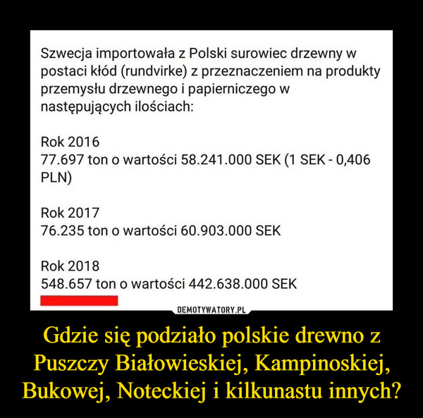 Gdzie się podziało polskie drewno z Puszczy Białowieskiej, Kampinoskiej, Bukowej, Noteckiej i kilkunastu innych?