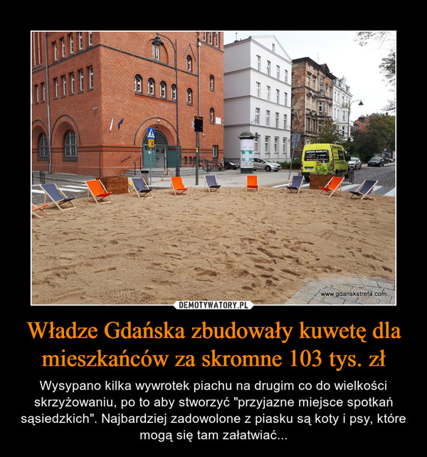 Władze Gdańska zbudowały kuwetę dla mieszkańców za skromne 103 tys. zł – Wysypano kilka wywrotek piachu na drugim co do wielkości skrzyżowaniu, po to aby stworzyć "przyjazne miejsce spotkań sąsiedzkich". Najbardziej zadowolone z piasku są koty i psy, które mogą się tam załatwiać... 