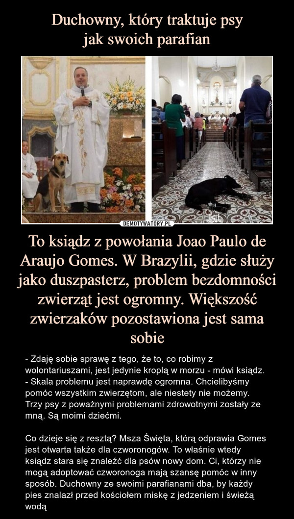 Duchowny, który traktuje psy
jak swoich parafian To ksiądz z powołania Joao Paulo de Araujo Gomes. W Brazylii, gdzie służy jako duszpasterz, problem bezdomności zwierząt jest ogromny. Większość zwierzaków pozostawiona jest sama sobie