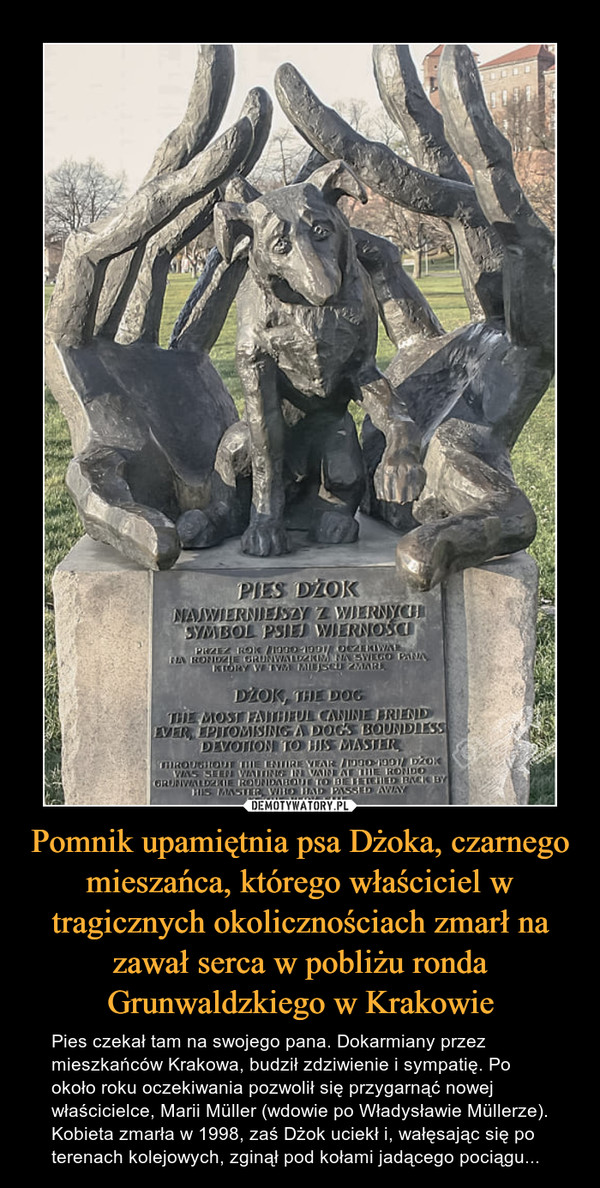 Pomnik upamiętnia psa Dżoka, czarnego mieszańca, którego właściciel w tragicznych okolicznościach zmarł na zawał serca w pobliżu ronda Grunwaldzkiego w Krakowie – Pies czekał tam na swojego pana. Dokarmiany przez mieszkańców Krakowa, budził zdziwienie i sympatię. Po około roku oczekiwania pozwolił się przygarnąć nowej właścicielce, Marii Müller (wdowie po Władysławie Müllerze). Kobieta zmarła w 1998, zaś Dżok uciekł i, wałęsając się po terenach kolejowych, zginął pod kołami jadącego pociągu... 
