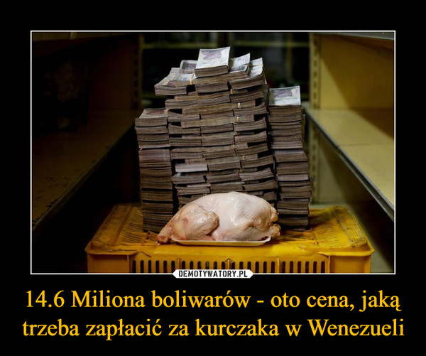 14.6 Miliona boliwarów - oto cena, jaką trzeba zapłacić za kurczaka w Wenezueli –  