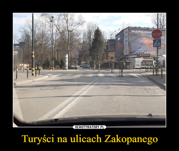 Turyści na ulicach Zakopanego