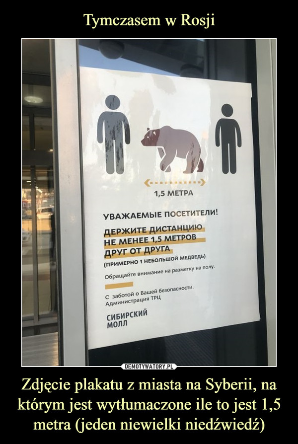 Zdjęcie plakatu z miasta na Syberii, na którym jest wytłumaczone ile to jest 1,5 metra (jeden niewielki niedźwiedź) –  