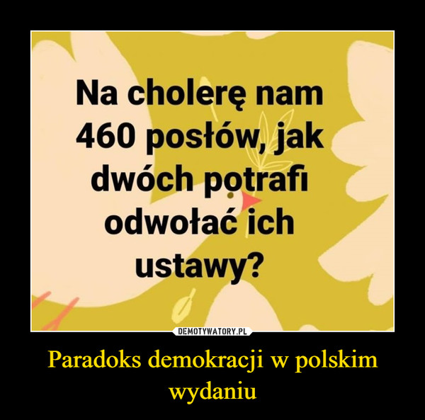 Paradoks demokracji w polskim wydaniu –  