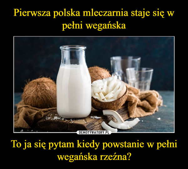 Pierwsza polska mleczarnia staje się w pełni wegańska To ja się pytam kiedy powstanie w pełni wegańska rzeźna?