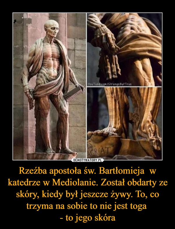 Rzeźba apostoła św. Bartłomieja  w katedrze w Mediolanie. Został obdarty ze skóry, kiedy był jeszcze żywy. To, co trzyma na sobie to nie jest toga 
- to jego skóra