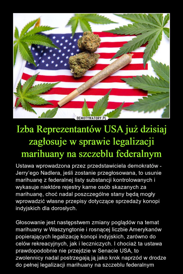 Izba Reprezentantów USA już dzisiaj zagłosuje w sprawie legalizacji marihuany na szczeblu federalnym