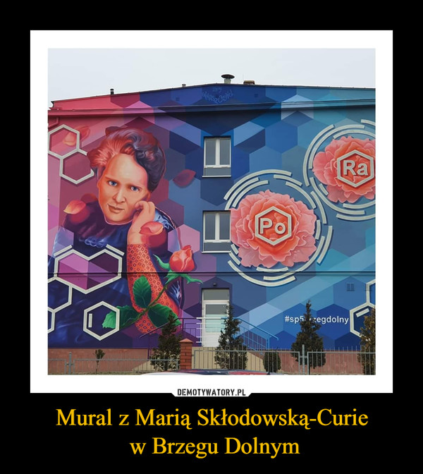 Mural z Marią Skłodowską-Curie
 w Brzegu Dolnym